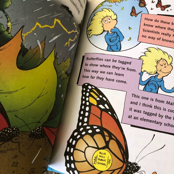 De Seuss Cat in the Hat. My oh my - a butterfly! - Picture 7 of 9